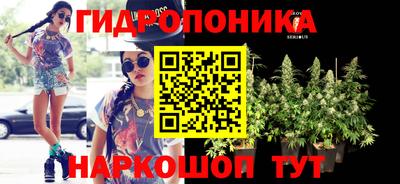 молекула духа Усть-Илимск