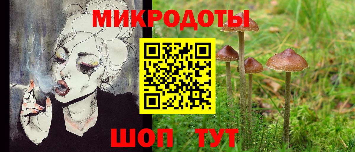 Богородск  Псилоцибиновые грибы MAGIC MUSHROOMS  Галлюциногенные грибы Psilocybine cubensis  Вход с VPN 