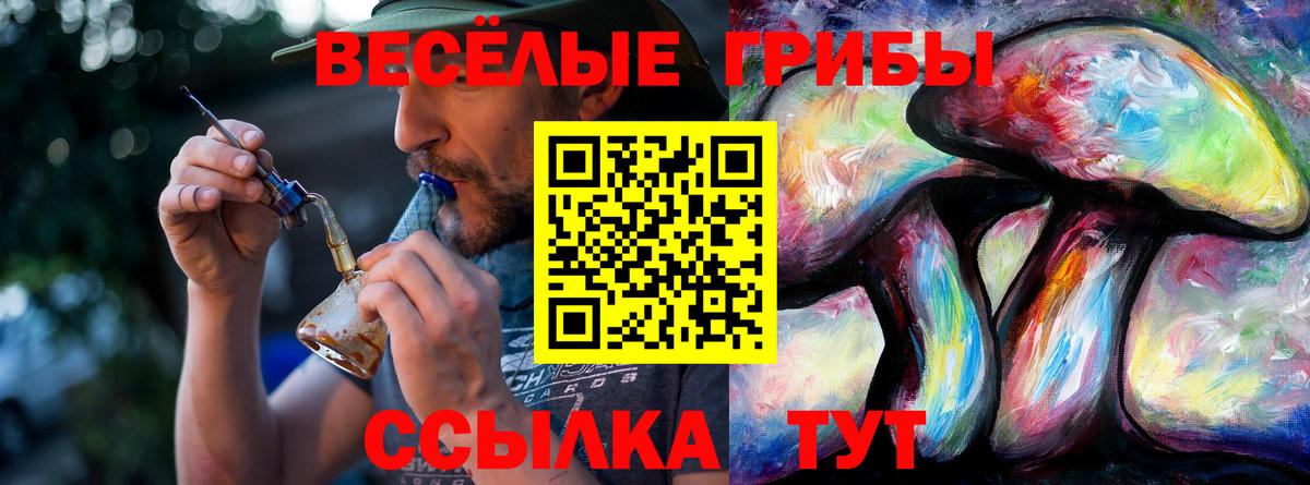 Галлюциногенные грибы мухоморы Богородск
